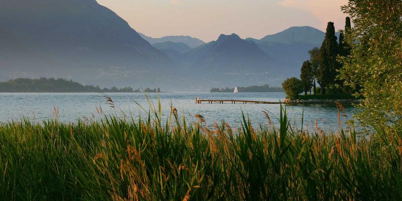 IPv6规模化部署的难点与过渡技术详解：一份面向开发者的实战指南