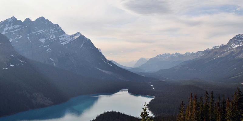 SD-WAN技术深度解析：如何重构企业分支网络架构与连接模式