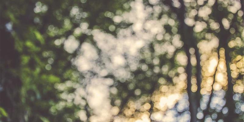 Wi-Fi 7革命降临:关键技术深度解析与家庭网络升级实战指南