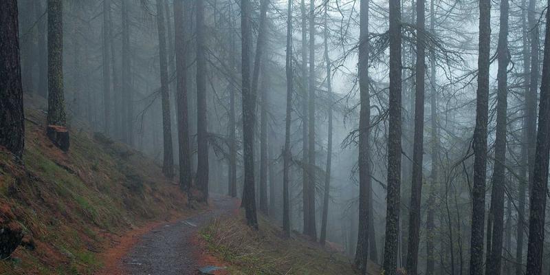 告别卡顿时代：深度解析边缘计算与5G如何联手“斩杀”物联网延迟