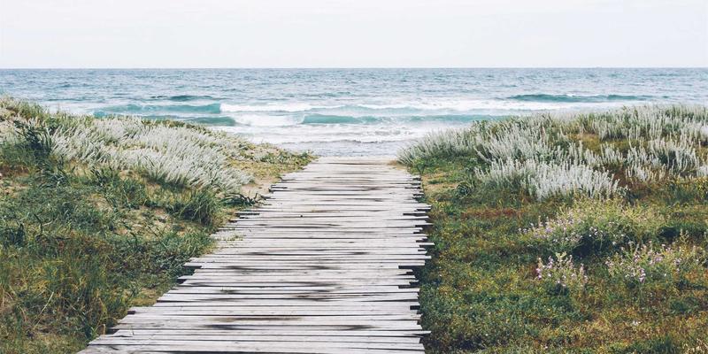 网络即服务：当企业像订阅云一样消费网络，复古网站与编程教程如何借力新生？