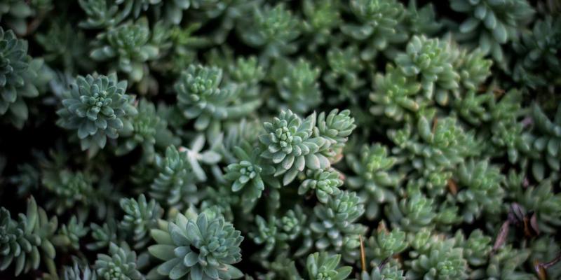 零信任架构实战指南：从网络技术到编程资源的全面部署策略